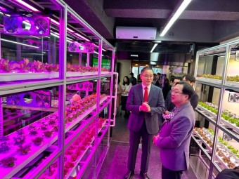 대전시, 전국 최초 공실 활용한 '대전팜' 개장…의료용 대마 재배 및 연구