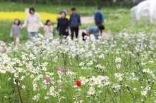 [굿모닝! 오늘의 날씨] 한낮도 서늘한 어버이날…제주·남부 비