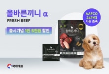 국개대표, 강아지 사료 올바른끼니 알파 소고기 출시