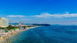 충청남도 보령시 대천해수욕장 7월 4일 개장…51일간 운영