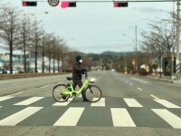 대전시 타슈 잡기 전쟁 지속…재배치 인력 조당 6명 미만·연 3억원 과세 부담