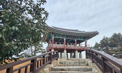 [여행 콕콕] 붉은 꽃송이 너머 낙조도 황홀