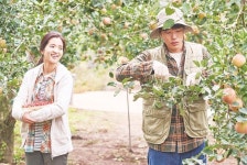 극장가 한·일 힐링무비 격돌… 누가 이길까