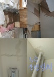 이게 4억짜리 집이냐…중흥건설, 부실시공 의혹 논란 확산