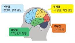 [백세시대 / 치매를 알자 48] 기억력이 괜찮은 치매도 있나요?