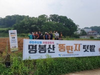 대한노인회 경기 고양시 덕양구지회, 명봉산 뚱딴지텃밭 가꾸기