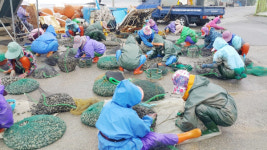 태양광 수익으로 첫 마을연금 도입한 전북 익산시