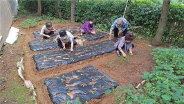 대한노인회 서울 양천구지회, 직접 경작형 프로그램 텃밭가꾸기
