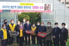 대한노인회 경기 가평군지회, 청평8리 생산적 경로당 지원사업 열매마 수확