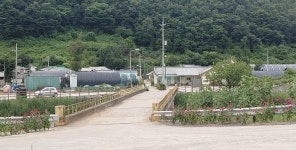 대한노인회 충북 단양군지회, 마을 가꾸기에 어르신들  솔선수범
