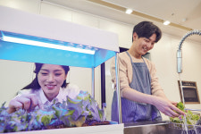 홈가드닝 하기 좋은 채소… 집 베란다에서 채소 재배하기, 어렵지 않아요