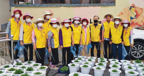 대한노인회 충남 보령시지회 소속 대천23통경로봉사클럽 국화꽃마을이라면 모르는 사람 없어요