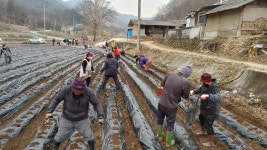 대한노인회 충북 충주시지회, 학미 경로당 공동작업장 활동 시작