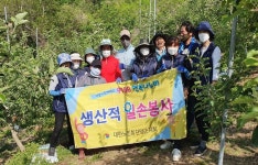 대한노인회 충북 단양군지회, 9988행복나누미강사 사과밭 일손봉사