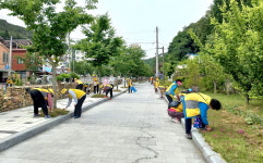 대한노인회 전북 전주시지회, 진흥봉사단 산성천 둘레길 환경정화봉사