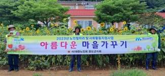 대한노인회 전남 완도군지회, 노인일자리로 해안가 주변 해바라기 꽃길 조성