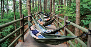 치유의 숲에서 걷고 머물며 힐링 하세요…산림 특성 활용해 다양한 프로그램