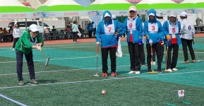 제22회 대통령기 전국 노인게이트볼대회, 전북 군산서 성료