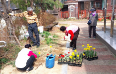 대한노인회 경북 영주시지회, 3개소 경로당서 행복정원 만들기