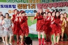 대한노인회 제4회 전국 경로당 예술제... 17개팀 뜨거운 경연