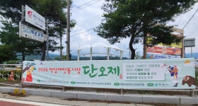 대한노인회 충북 제천시지회 평동1리경로당, 박달재 전통시장 단오제서 다듬이질 재연