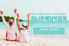 대전웨딩홀 메이비웨딩힐스, 결혼과 신혼여행 한번에 해결하는 허니문박람회 진행