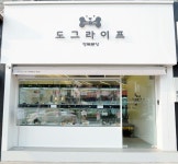 대구강아지분양 전문 도그라이프 3월 20~80% 할인 이벤트