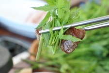 제주 에코랜드 근처 흑돼지 맛집 탐라흑돈정육식당, 직접 키운 미나리와 흑돼지 눈길