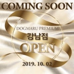 도그마루강남점 오는 10월 2일 오픈소식에 모두가 주목