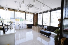 반려동물 건강한 분양문화 만들어가는 더펫 동물병원에서 가정위탁 분양 시행