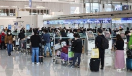 방역 완화로 항공사들, 운항 확대 시동