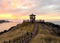 살랑살랑 은빛 기운…가을엔 제주로 떠나자