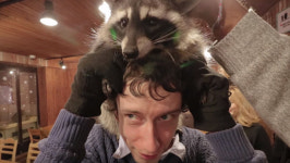 영국남자 조쉬가 찾은 너구리카페 블라인드앨리는 어떤 곳 일까?