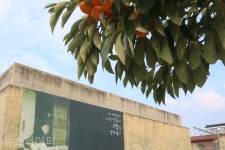 [포토] 가을 정취 감상할 수 있는 부여 신동엽문학관... 다양한 행사 잇따라!