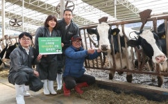 남양유업, 사물인터넷 젖소 건강 지킴이 ‘라이브케어’ 도입