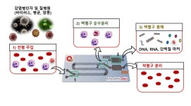 라디안큐바이오, 美서 백혈구 분리 및 용해기술 인정
