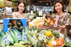 홈플러스 청정 강원도 채소 저렴하게 즐기세요