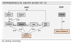 한화케미칼, 태양광 사업 본격 발돋움-케이프