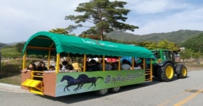 말 문화 체험과 힐링의 명소, 한국마사회 장수목장 개방