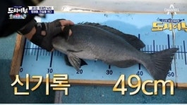 오도열도, 낚시하려면 떠나라? 잘 잡히는 물고기는