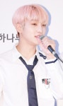 디비리서치텍더월드리더 | [포토] 더보이즈 리더, 핑크머리가 찰떡이네~ (2019 케이월드 페스타)