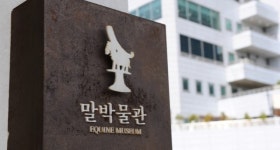 한국마사회 말박물관 초대작가전, 표영은의 누군가의 레이스
