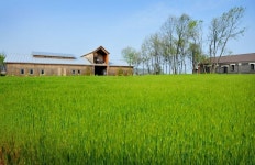 상하농원, 고창방문의 해...청보리 보러오세요