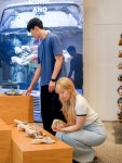 삼성물산패션 숄(Scholl),  비이커 청담 플래그십에서 팝업
