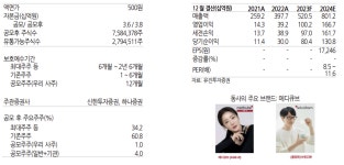 에이피알, 국내 홈 뷰티 디바이스 1위 기업-유진