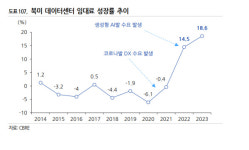 통신업계 돌파구 AI, 어떻게 잡을까- ①데이터센터