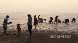 영광 천일염·갯벌축제, 오는 14일 개막