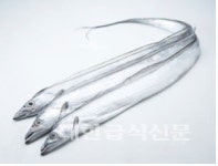 가을철 보양식, 갈치·대하 영양 최고
