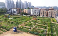 용인시, 시민농장 350구좌 분양