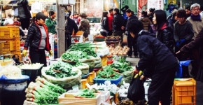 2월 제주관광 10선... 겨울을 보내고, 제주는 먼저 봄을 틔운다